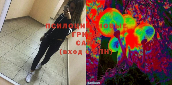 гидропоника Белокуриха