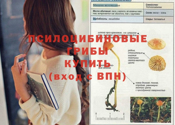 молекула духа Балахна